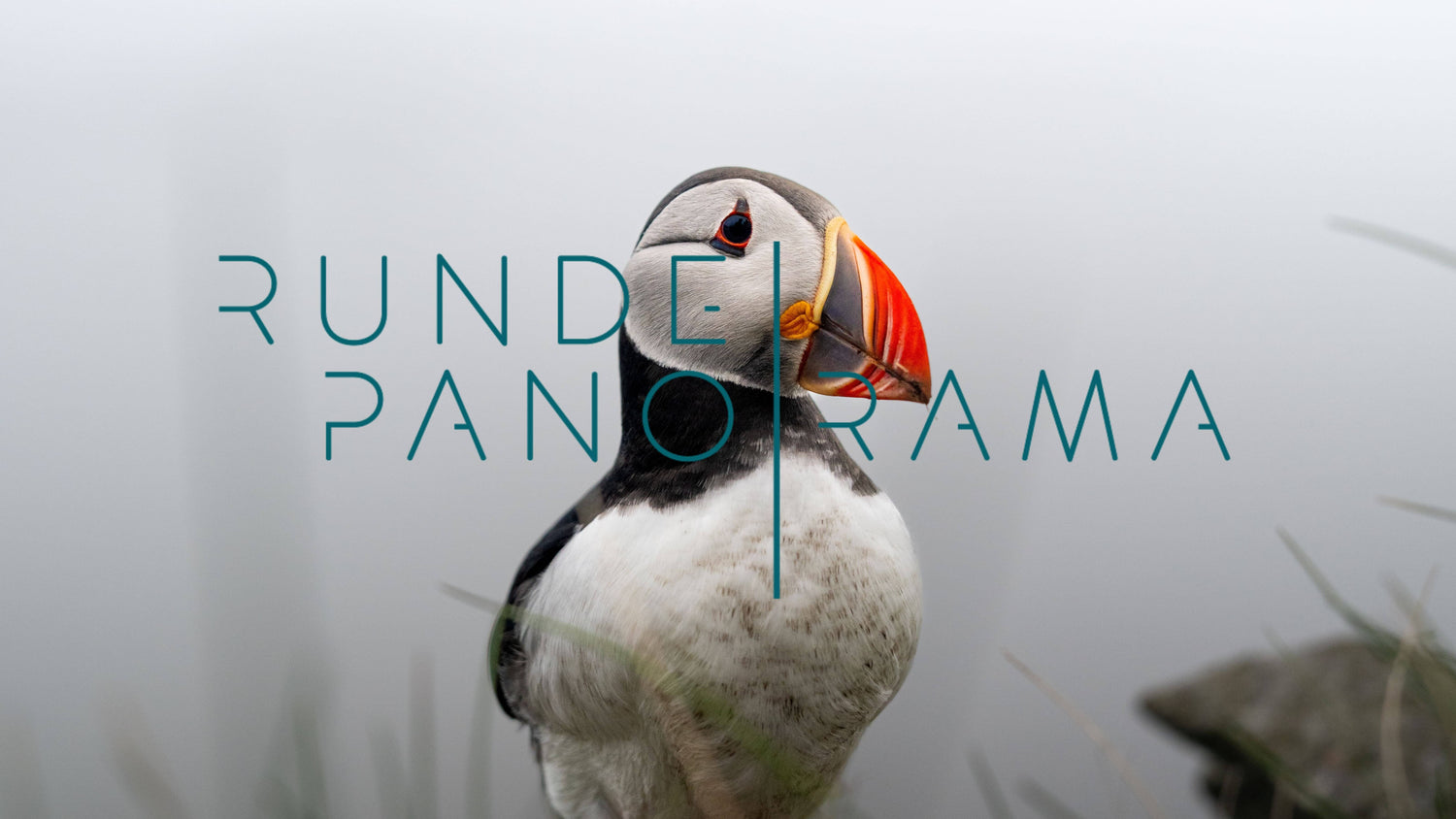 Lundefugl fra Inari sin produksjon for Runde Panorama